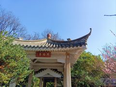 -南京古林公园