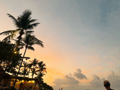 -Coco Tam’s