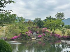 -雅达·阳羡溪山小镇中心
