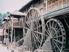 -呀路古热带植物园