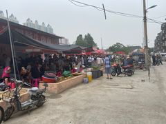 -老窦肥肠板面