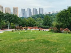 -龙头寺公园