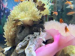 -太平洋海底世界