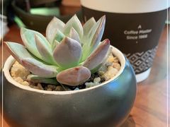 -Peet's Coffee皮爷咖啡(新天地黑标店)