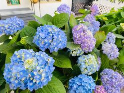 -新蝶变皮肤管理中心