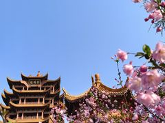 -黄鹤楼公园(黄鹤楼)