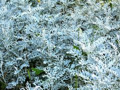 -烟水渔庄餐厅(西溪湿地店)