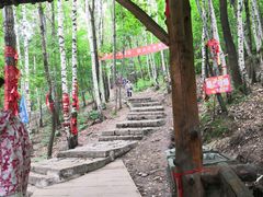 -帽儿山风景区