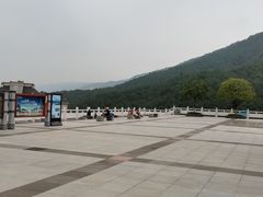 -铁山坪森林公园