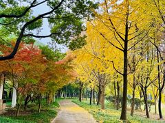 -松鹤楼(山塘街店)