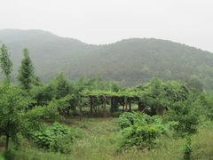 -龙寺生态园
