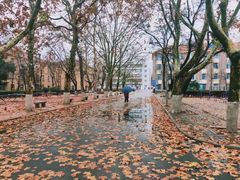 -九龙餐厅(大沽路店)