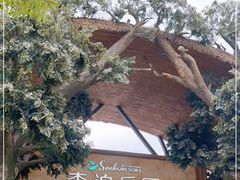 -杭州开元森泊度假乐园