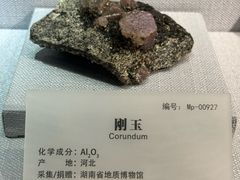 -湖南省地质博物馆