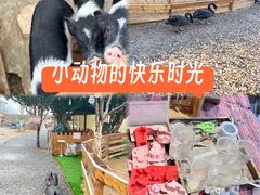 -HERRE·FARM 赫尔露营农场·团建聚会包场