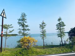 -梁子湖东篱老屋生态庄园