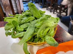 蓬蒿菜-颐品居涮肉(乌鲁木齐中路店)