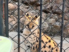 -大连森林动物园