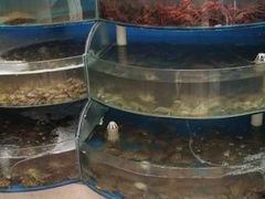 -同道蒸汽海鲜烧烤自助(刘庄夜市店)