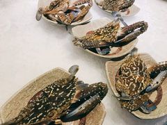 蟹腿腿-阳光岛·海鲜盛宴(银泰中心in99店)