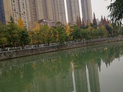 -成都市活水公园