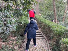 -上海佘山国家森林公园西佘山园