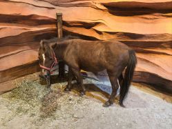 -酷嗒动物文化乐园(cutezoo西溪乐天城店)