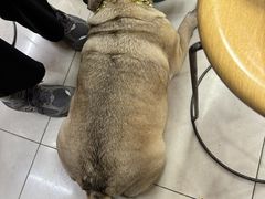 -双冰面馆(茶南店)