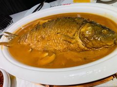 红烧黄河大鲤鱼-阿五黄河大鲤鱼(英协路店)