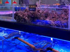 -四海之家(蛇口店)