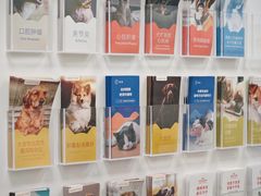 -美联众合爱康动物医院•复杂内科•肿瘤科•牙科•腔镜诊疗中心