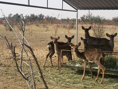 -亿利库布其七星湖沙漠生态旅游区