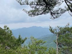 -朱雀国家森林公园