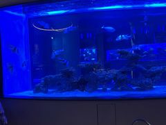 -上和臻品中国菜(花园街店)