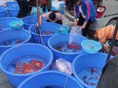 -华声天桥民俗文化园