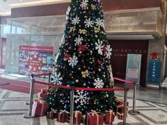 -大自然花鸟鱼虫市场