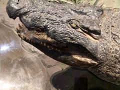 -陕西自然博物馆