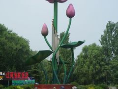 -微山湖红荷湿地景区