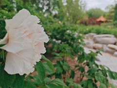 -南海子公园
