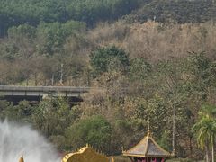 -西双版纳原始森林公园