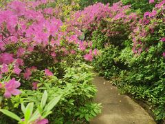 -南山风景名胜区