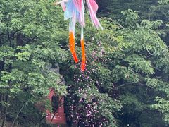 -洛阳白云山景区