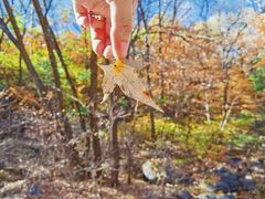 -玉渡山自然风景区