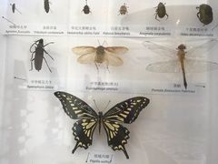 -丹世红酒庄·烧烤·团建·婚礼·水上运动
