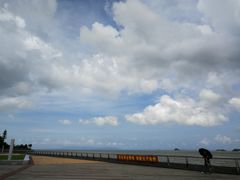 -野狸岛