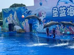 -北戴河圣蓝海洋公园