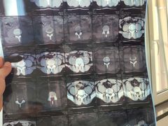 -中国人民武装警察部队特色医学中心