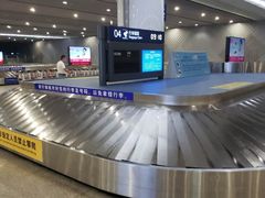 -合肥新桥国际机场-航站楼