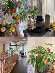 -名媛颜蕙·LPG官方旗舰店