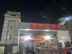 -武汉关码头(轮渡站)